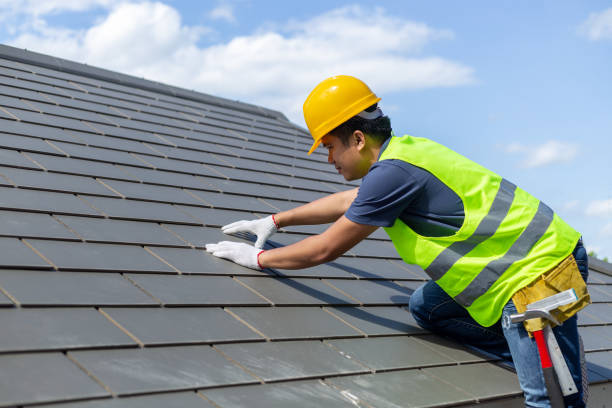 Best Roofing Contractor Near Me  in Lapeer, MI