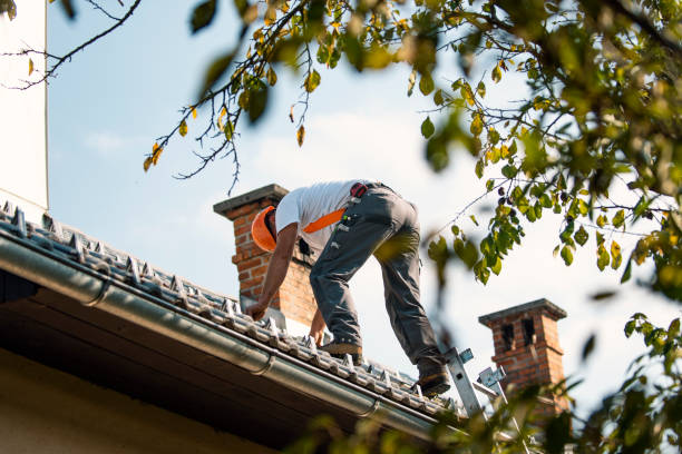 Best Sealant for Roof  in Lapeer, MI