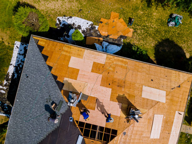 Best Flat Roof Repair Services  in Lapeer, MI