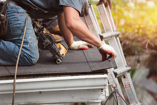Best Commercial Roofing Services  in Lapeer, MI