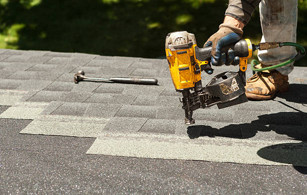 Best Local Roofing Companies  in Lapeer, MI