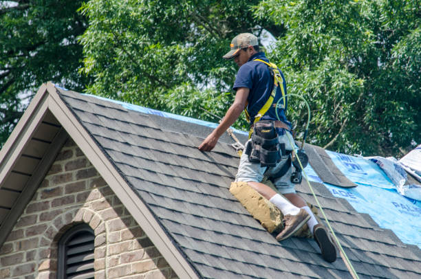 Best Roofing Contractors for Homes  in Lapeer, MI